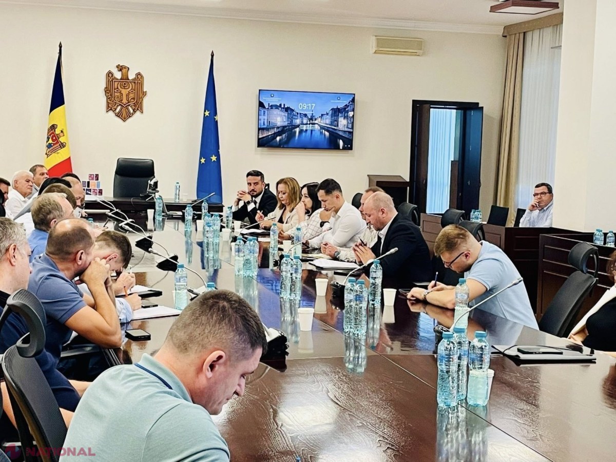Acces mai simplu la autorizații internaționale pentru transportatorii de marfă: trecerea la versiunile digitale începând cu 2026