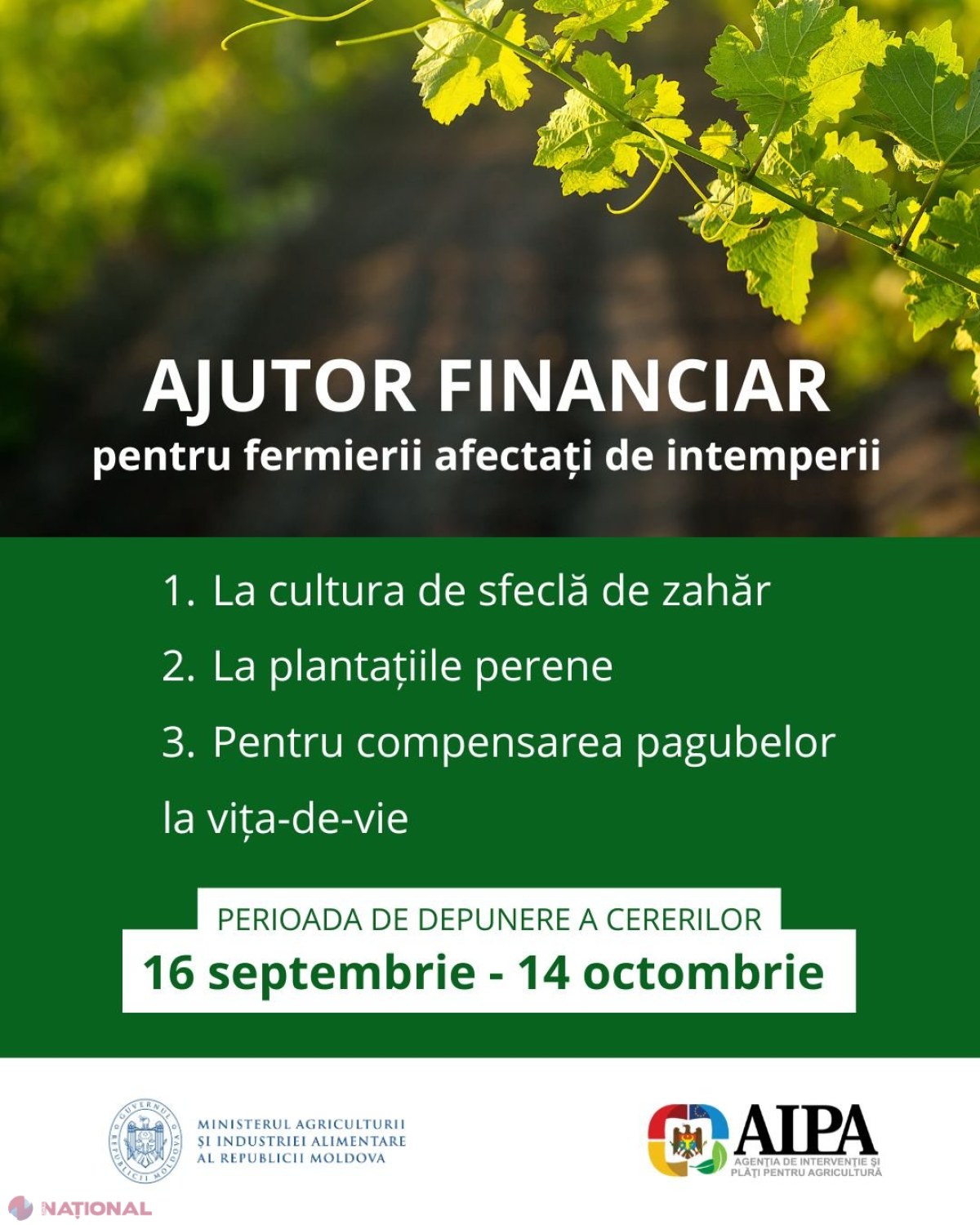 Fermierii afectați de intemperii pot depune cereri pentru sprijin financiar până pe 14 octombrie 2025