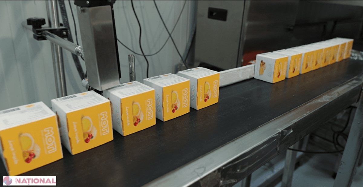 De la idee curajoasă la succes internațional: cum desertul japonez mochi din Moldova cucerește Europa