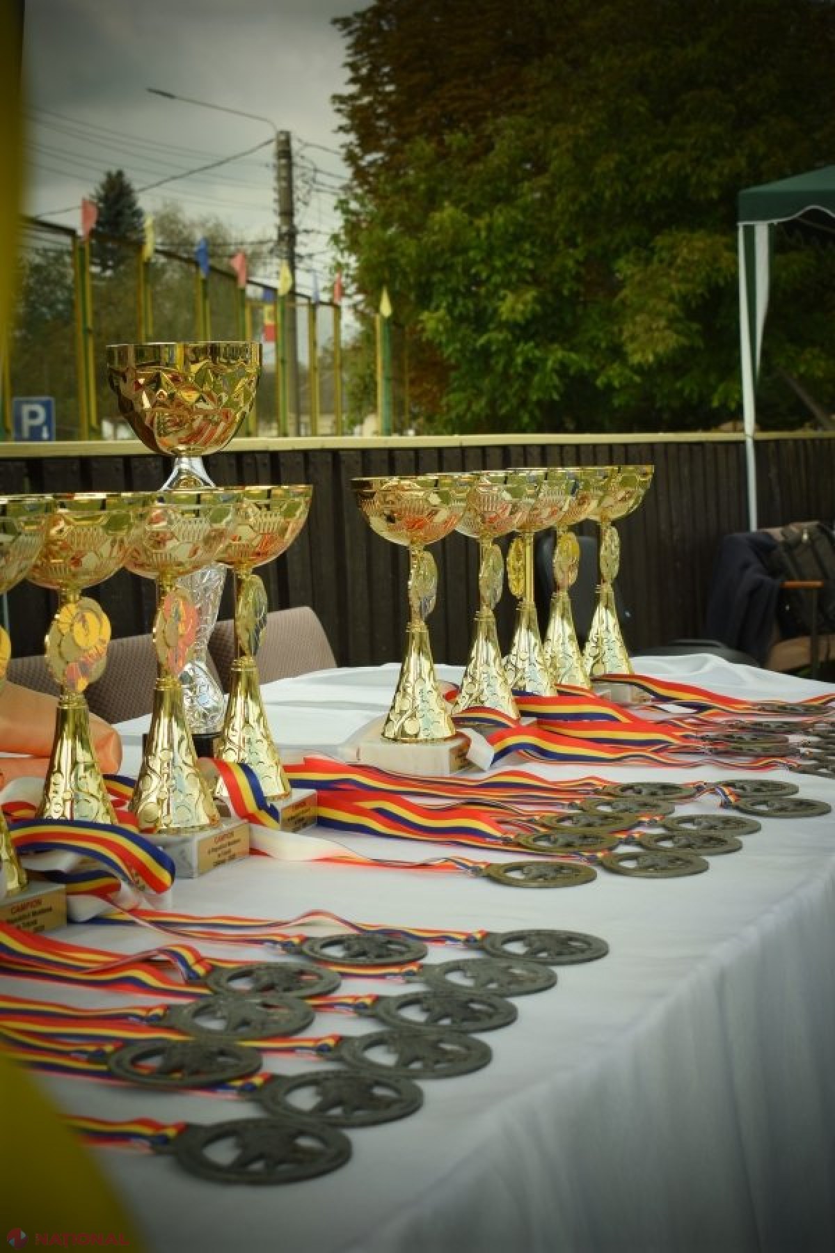 Peste 100 de sportivi s-au întrecut la Campionatul Național de Trântă pentru seniori, desfășurat la Călărași