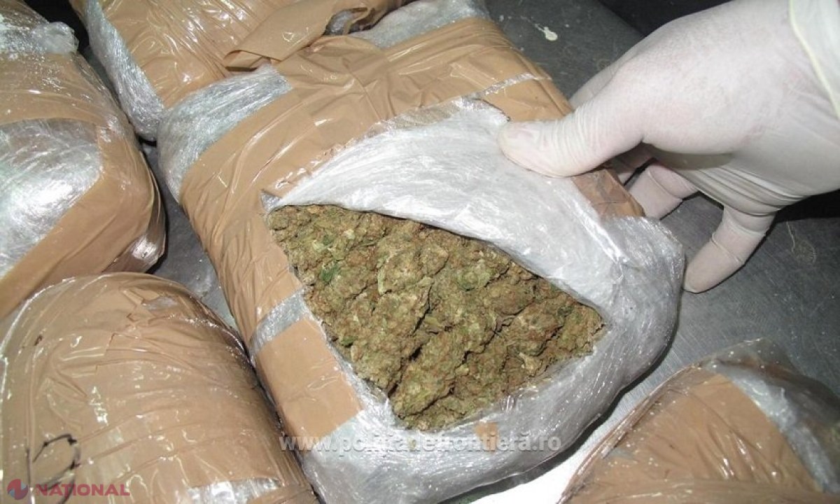 Captură importantă pe autostrada M7: 4,4 kilograme de marijuana găsite într-un microbuz românesc în drum spre Italia