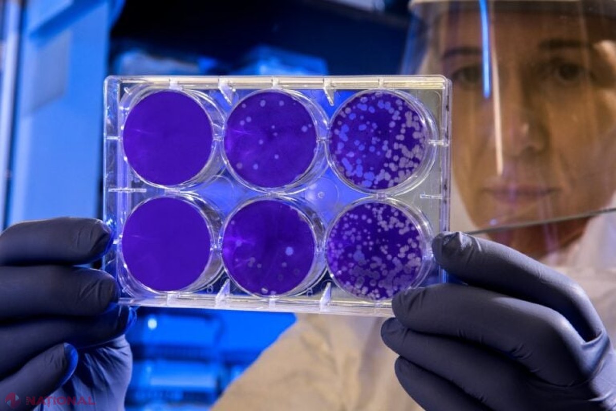 O descoperire revoluționară: Proteina bacteriană care declanșează autodistrugerea celulelor canceroase, dezvăluită de cercetătorii spanioli