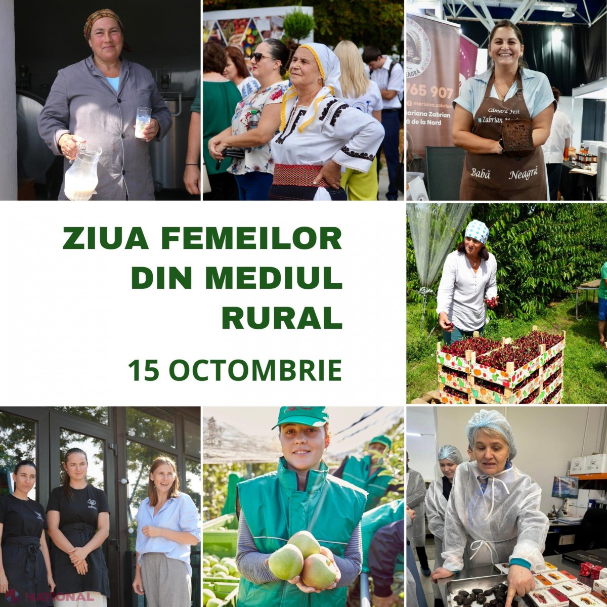 Femeile din mediul rural impulsionează progresul agricol cu investiții și inițiative inovatoare în Moldova