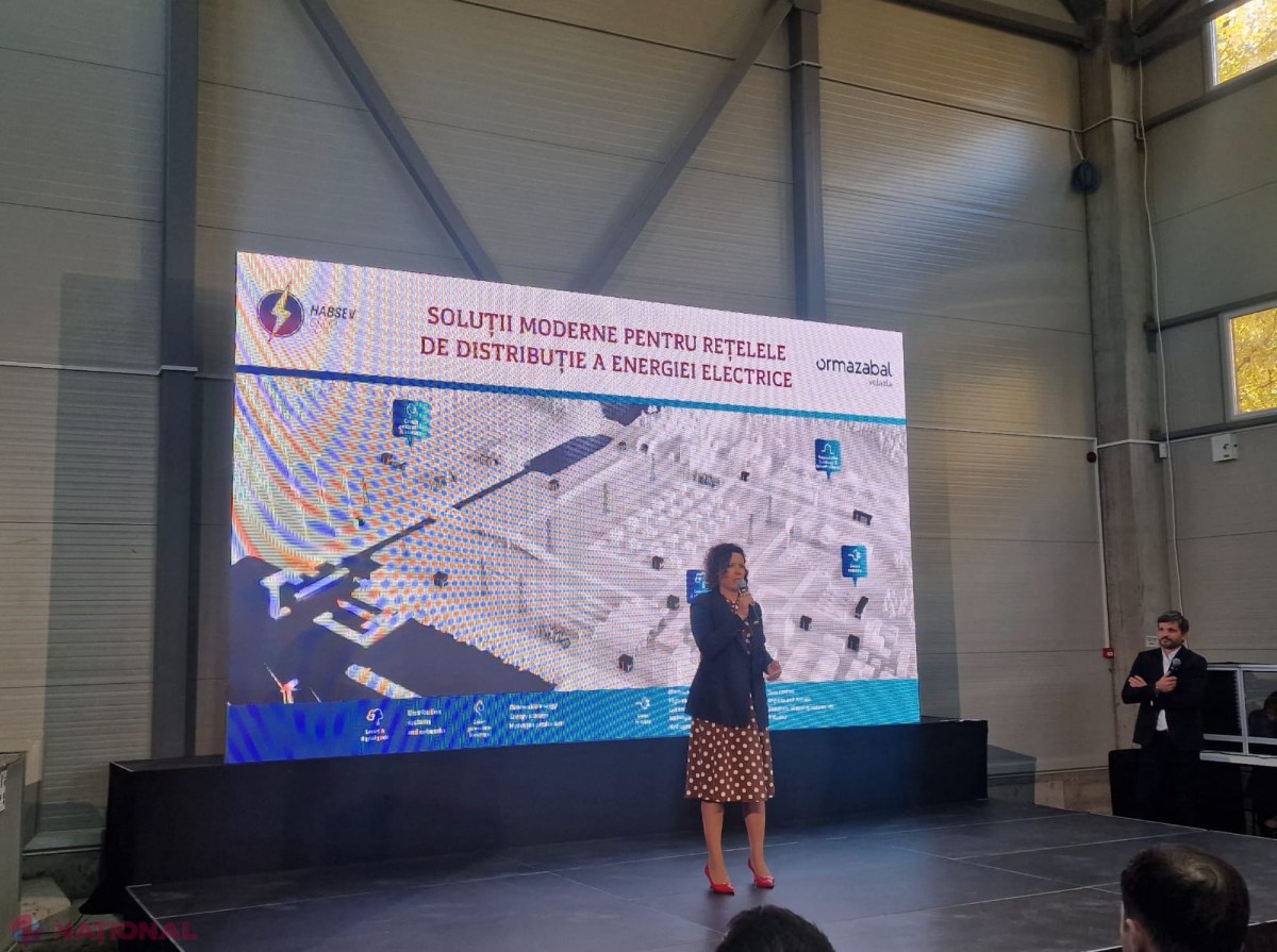 Cristina Pereteatcu promovează inovația în digitalizarea rețelelor electrice din Moldova: colaborare public-privat pentru viitorul energetic
