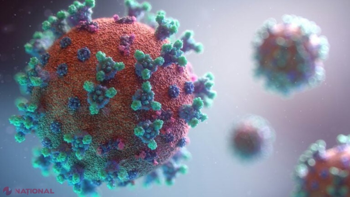 Virusurile: soluția inovatoare împotriva infecțiilor greu de tratat cu antibiotice?