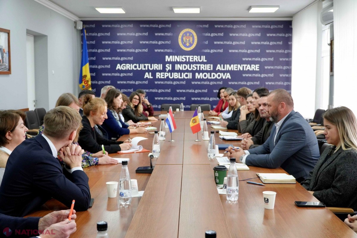 Moldova și Olanda își unesc forțele pentru a revoluționa sectorul horticol local