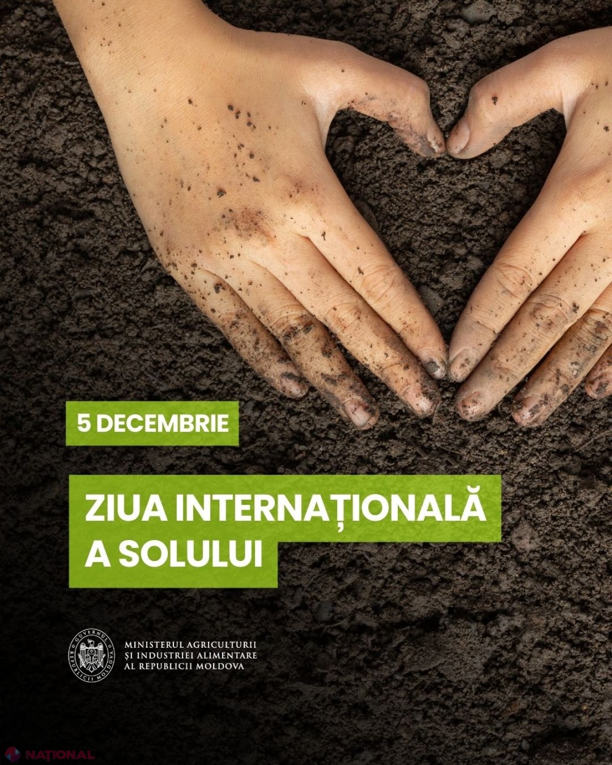 Ziua Mondială a Solului: Eforturile Moldovei pentru protejarea resurselor vitale și durabilitatea urbană