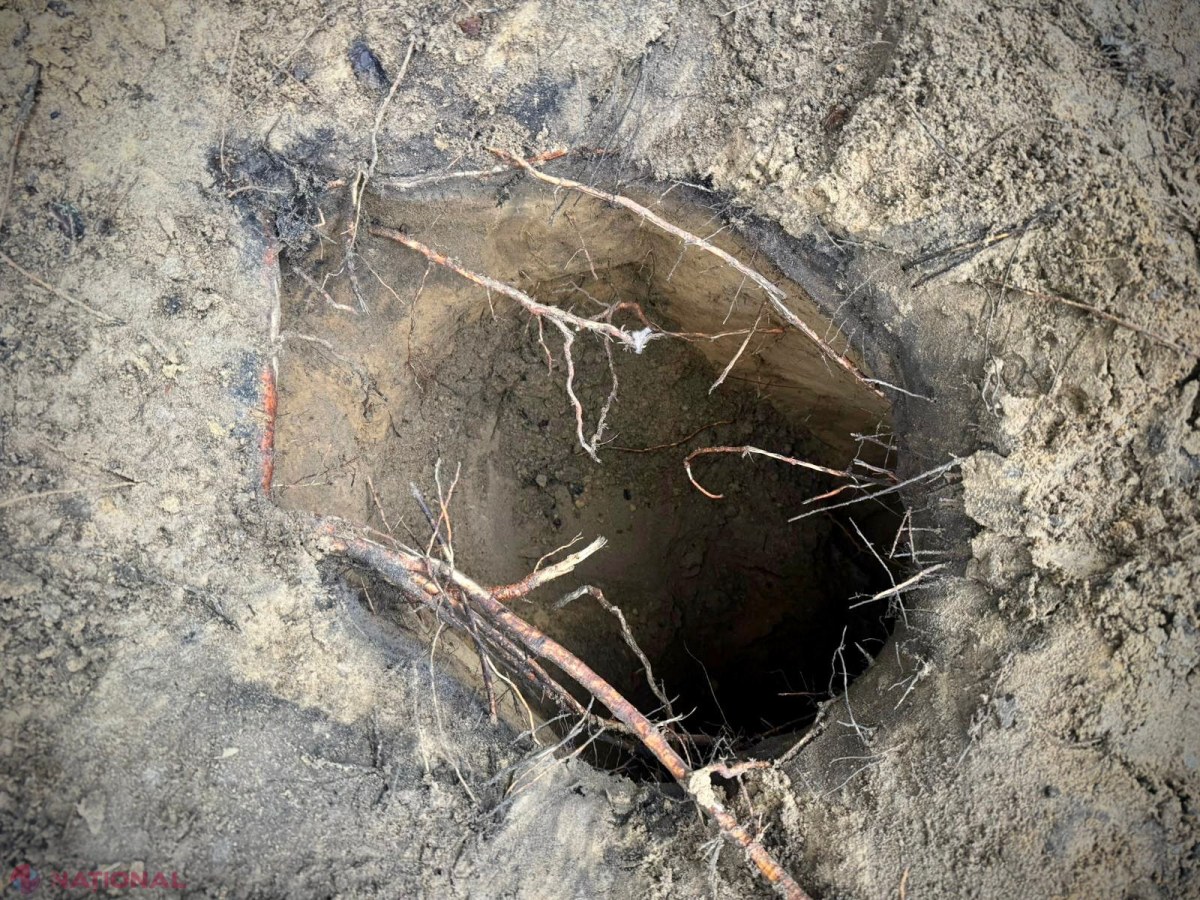 Tunel secret la granița Belarus-Polonia: 180 de imigranți trec pe neașteptate granița în Polonia