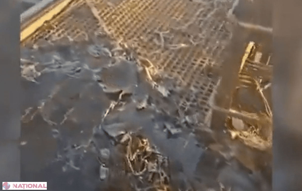 Rusia atacă o navă turcească cu dronă în largul mării, acuză Ucraina; niciun rănit, nava își continuă drumul spre Egipt
