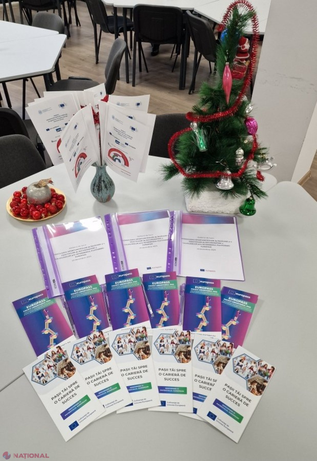 Atelier național pentru promovarea educației și recunoașterea calificărilor prin platforma Europass în Moldova