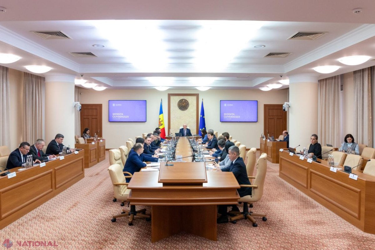Guvernul aprobă Programul de voluntariat internațional în întreprinderi, care va aduce tineri specialiști francezi să facă stagii în Republica Moldova