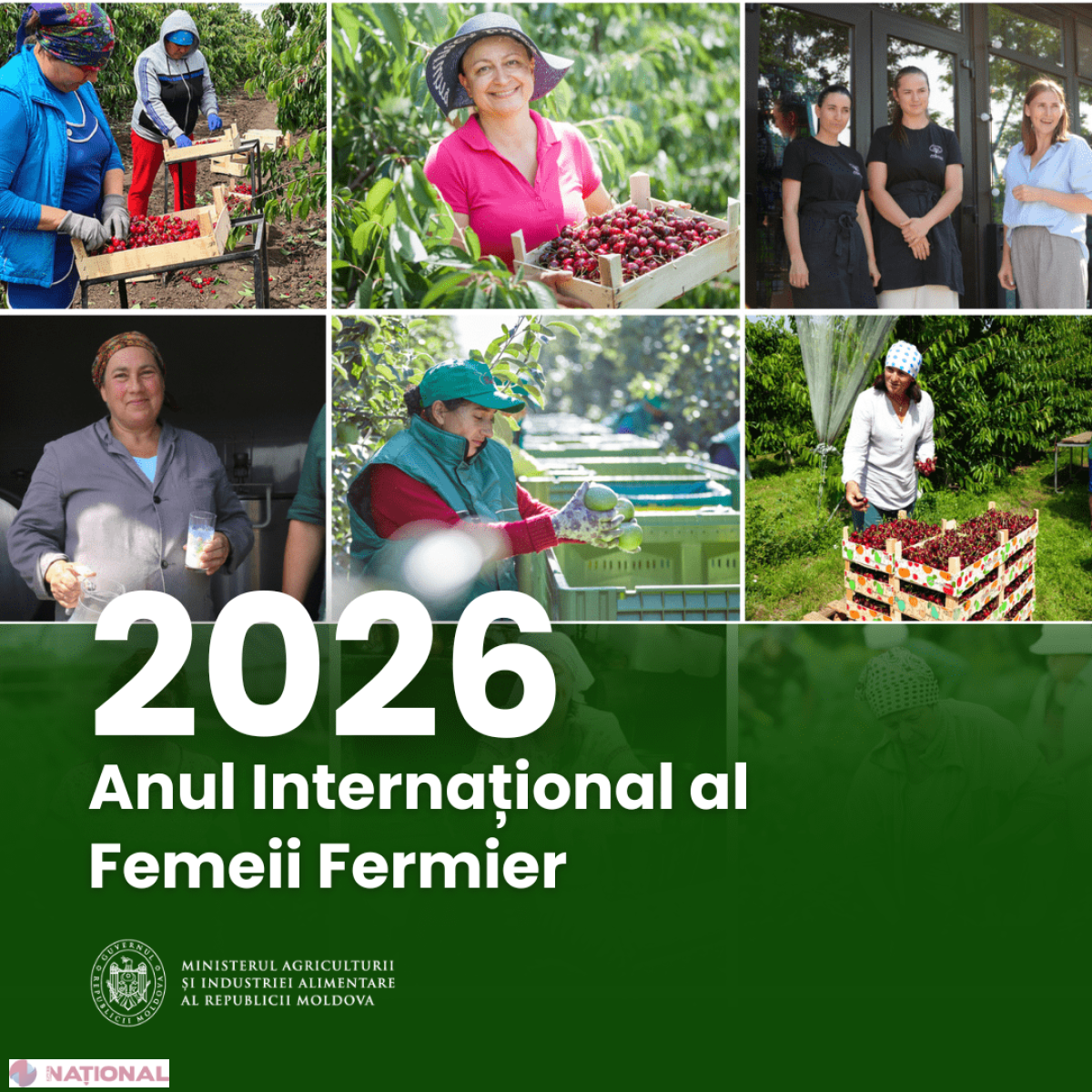 Moldova pregătește facilități financiare și subvenții speciale pentru femeile fermier în 2026
