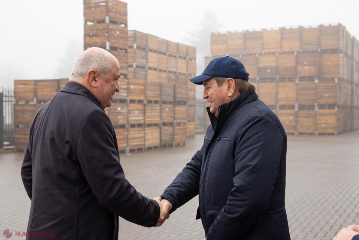 Premierul Alexandru Munteanu, în vizită la livada modernă Farm-Prod din Olănești, model de afacere pomicolă orientată spre export
