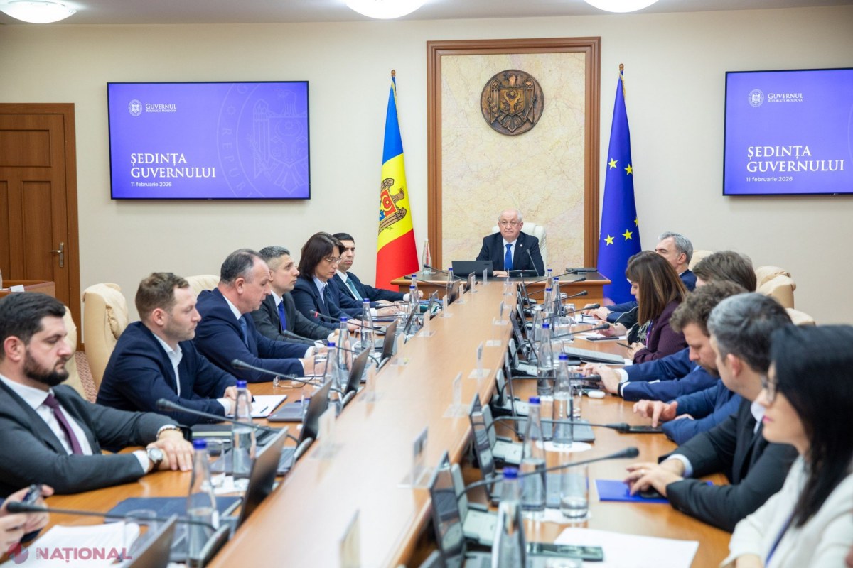 Guvernul introduce reguli noi pentru utilizarea medicamentelor veterinare în prevenirea bolilor la animale