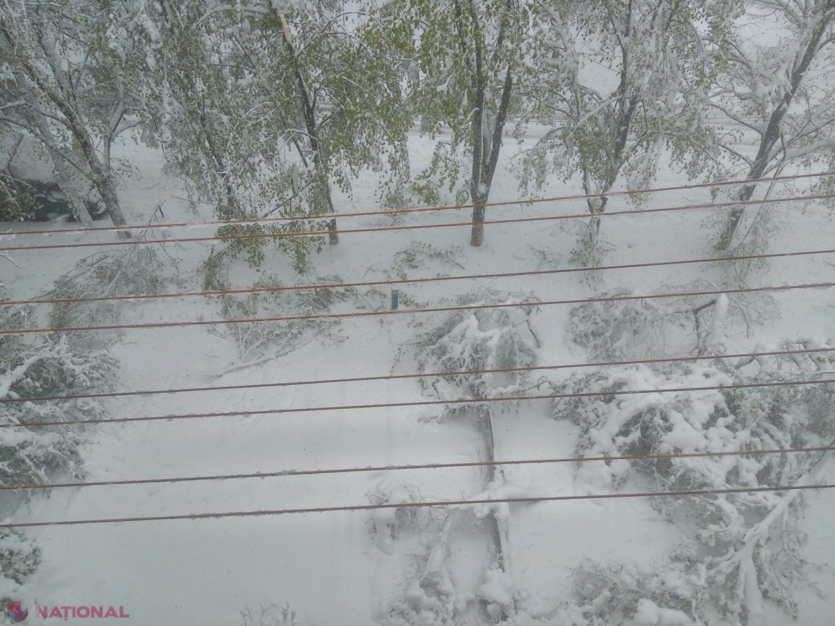 Miercuri, 18 februarie 2026: ninsoare și răcire ușoară în toată Republica Moldova