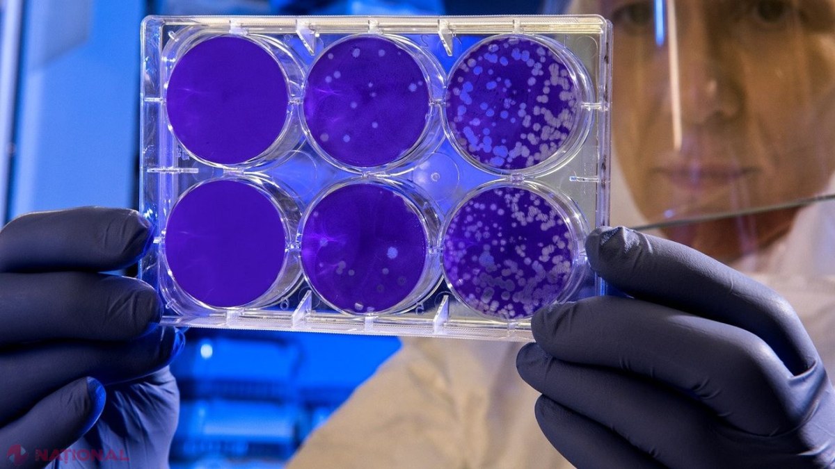 Bacterie Listeria modificată genetic, testată ca nou tratament imun pentru cancer, cu primul studiu clinic posibil la copii după transplant de măduvă osoasă