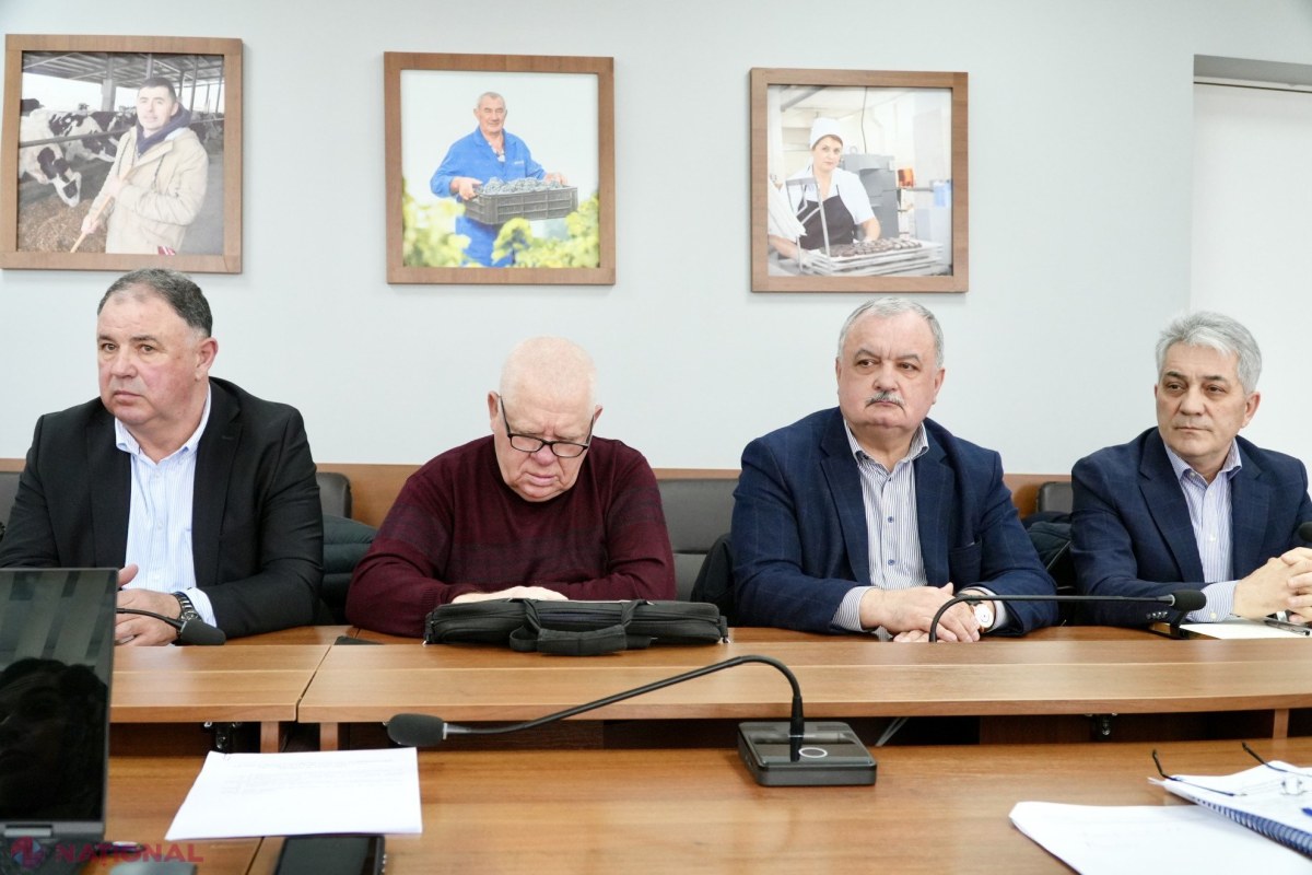 Echilibrul pieței cerealelor și reziliența agriculturii, în centrul discuțiilor la Ministerul Agriculturii