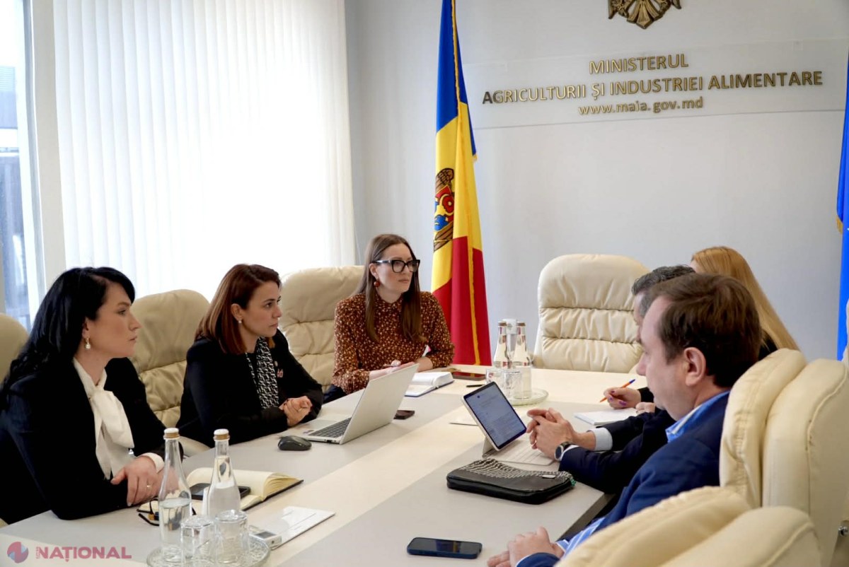 MAIA și FAO pregătesc Forumul Investițional agroalimentar și extind sprijinul pentru fermierii moldoveni