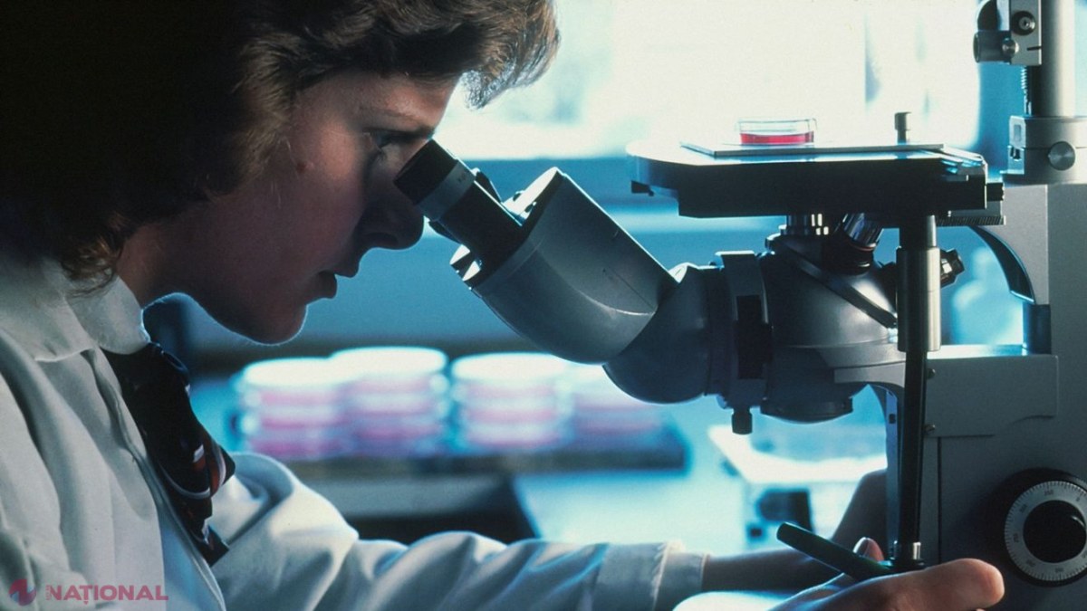 Cercetătorii descoperă rolul proteinei IKKa în oprirea metastazelor la ficat în cancerul de colon, deschizând drumul către noi terapii țintite