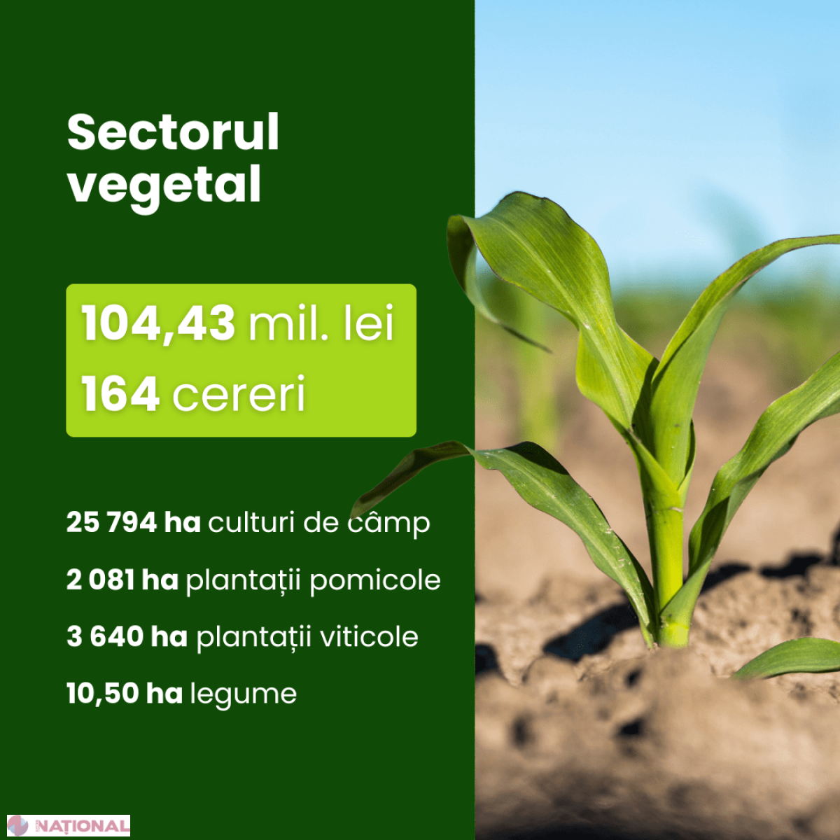 Toate cererile pentru subvenționarea asigurărilor agricole din 2025 au fost achitate integral de AIPA