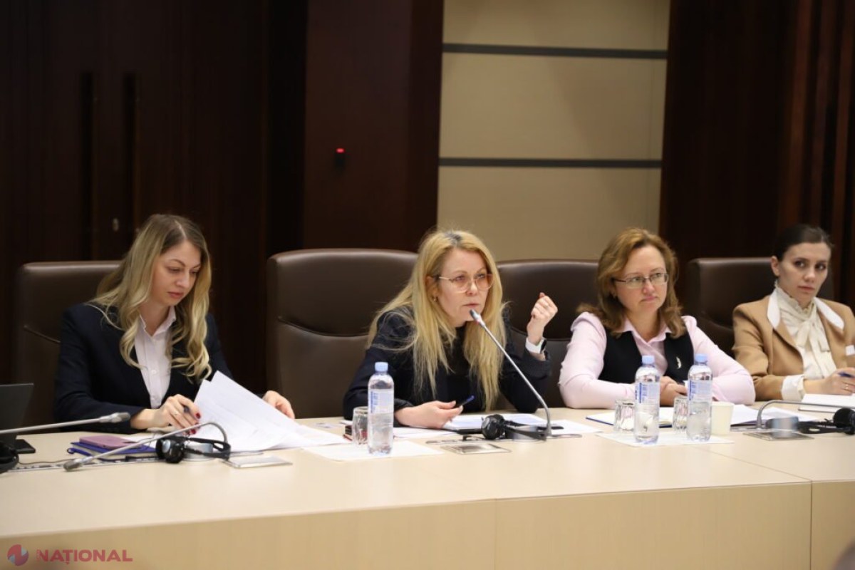 Parlamentul evaluează progresele Moldovei la Capitolul 30 „Relații externe” în cursa de aderare la UE