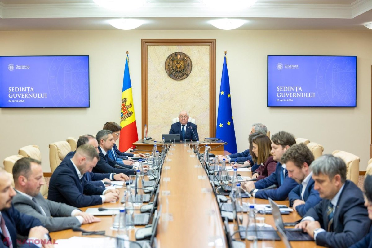 Guvernul deschide piața pentru cânepa industrială: reguli noi promit creșterea cu 40% a valorii pe hectar