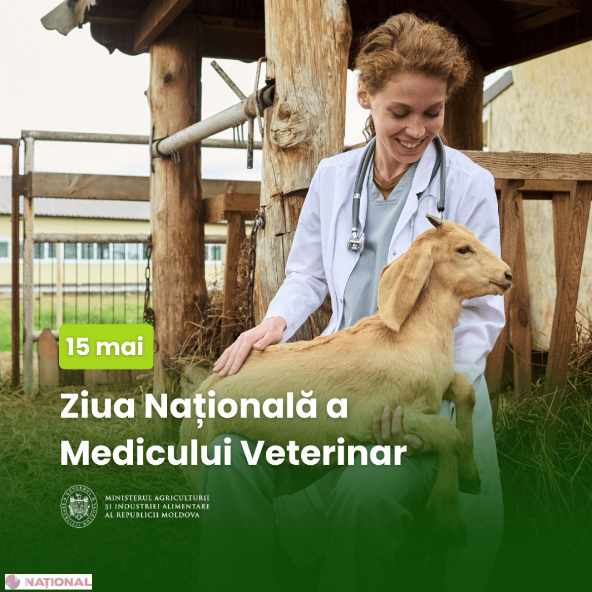 MAIA marchează Ziua națională a medicului veterinar și mizează pe tot mai mulți tineri în această profesie