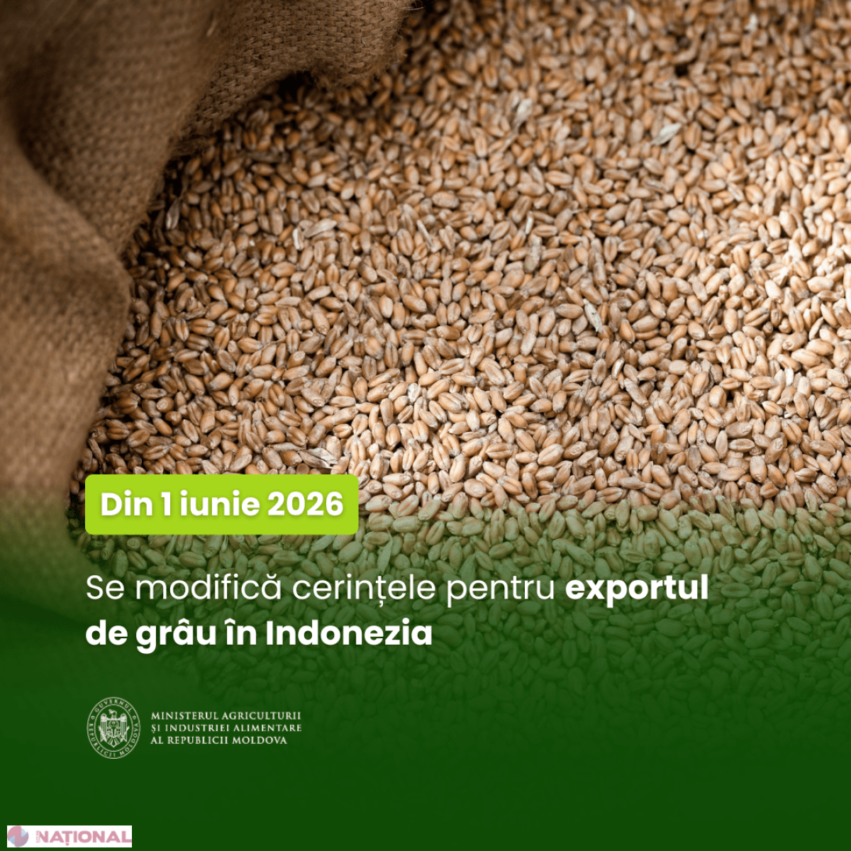Indonezia introduce noi cerințe fitosanitare pentru grâul din Republica Moldova, valabile din 1 iunie 2026