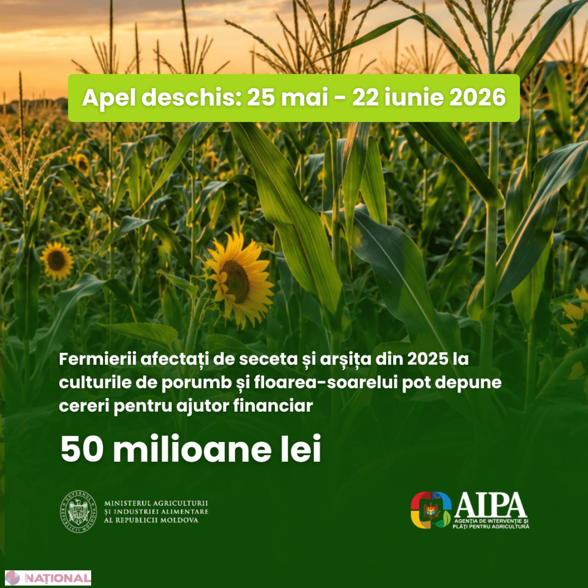 Guvernul oferă 50 de milioane de lei despăgubiri pentru fermierii loviți de seceta din 2025: cererile pot fi depuse la AIPA între 25 mai și 22 iunie 2026