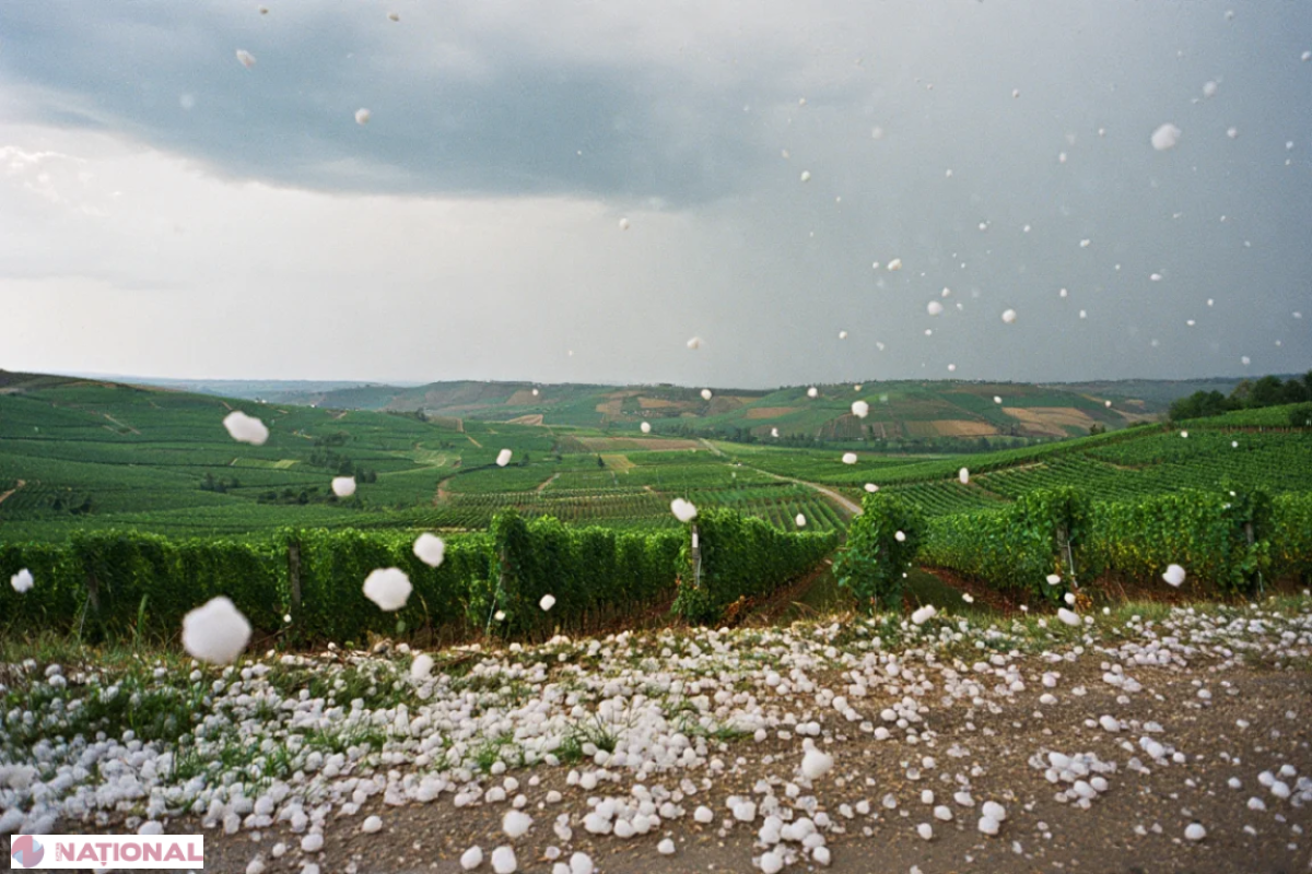 Alertă meteo cod galben, 12.06.2026, ora 9–21
