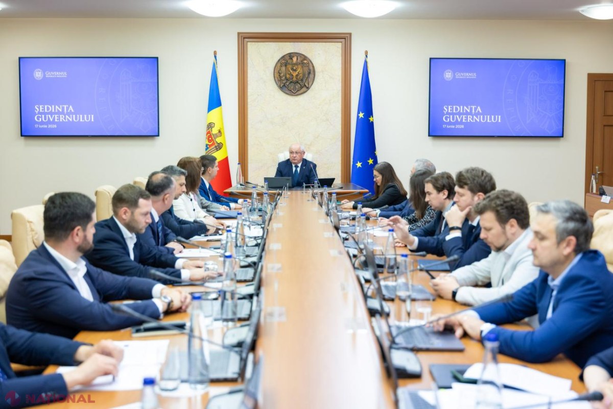 Republica Moldova pornește primul inventar forestier național: imagine clară asupra pădurilor și gestionării lor durabile