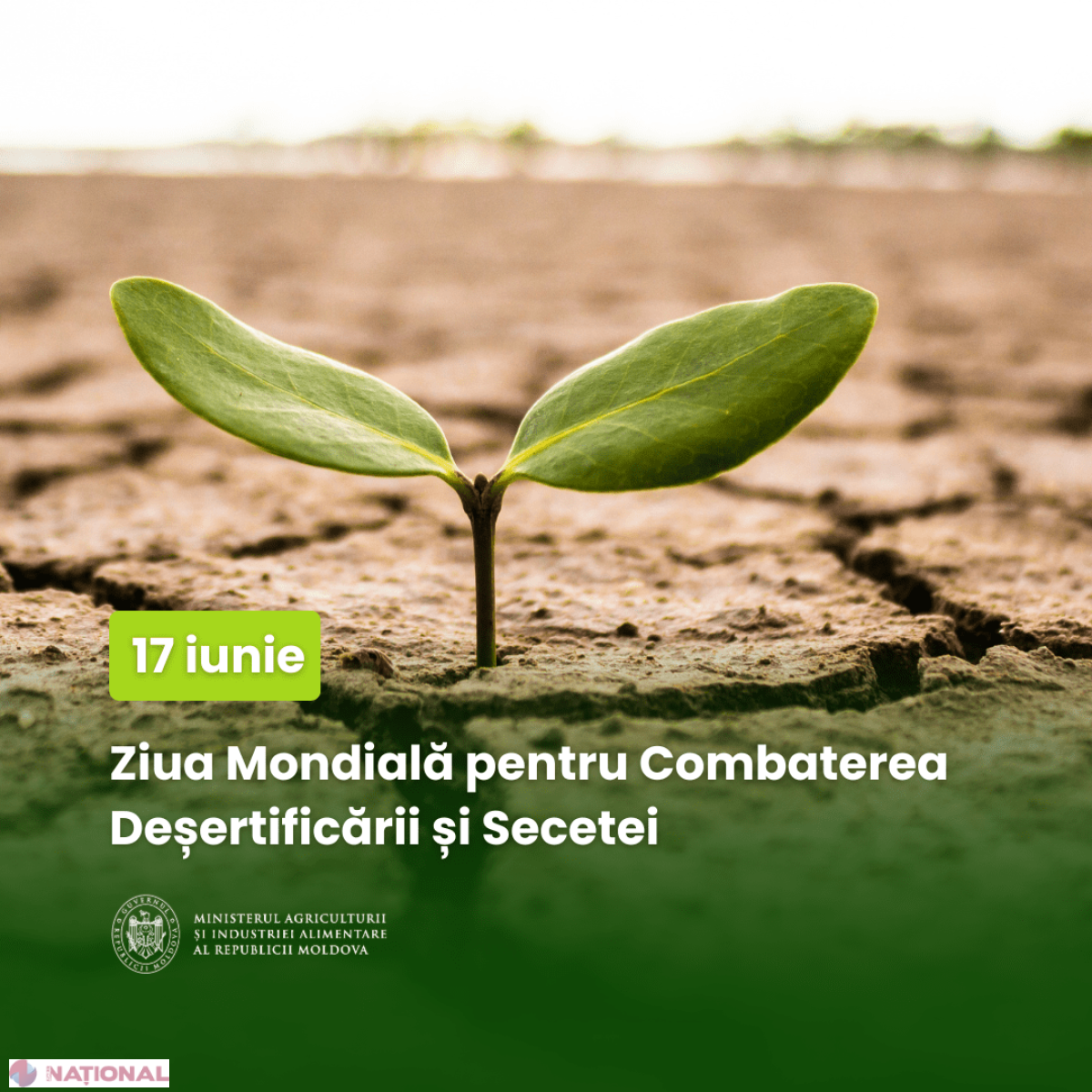 Moldova marchează Ziua Mondială pentru Combaterea Deșertificării și a Secetei: investiții și măsuri pentru protejarea solului și a apei