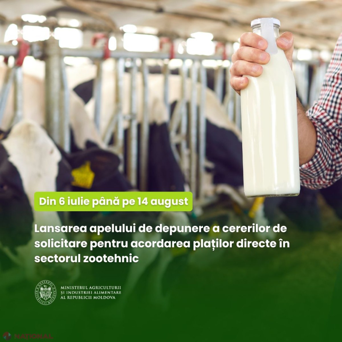 Din 6 iulie, fermierii pot cere plăți directe pentru laptele vândut în semestrul II din 2025