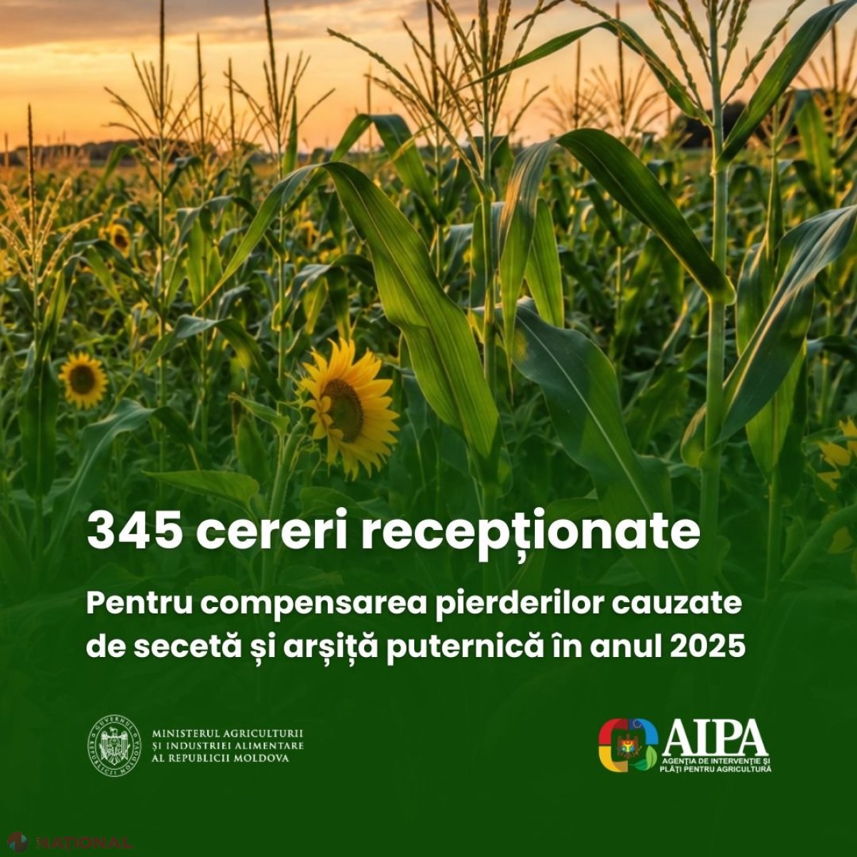 AIPA încheie apelul de compensare a pierderilor din secetă și arșiță pentru 2025: 345 de cereri depuse de agricultori