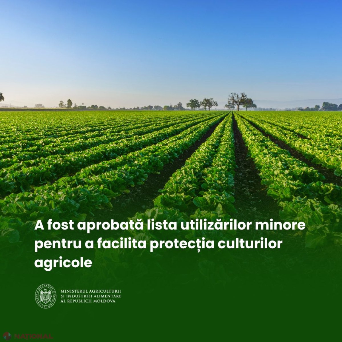 MAIA simplifică autorizarea produselor fitosanitare pentru culturile de nișă, în sprijinul fermierilor din Republica Moldova