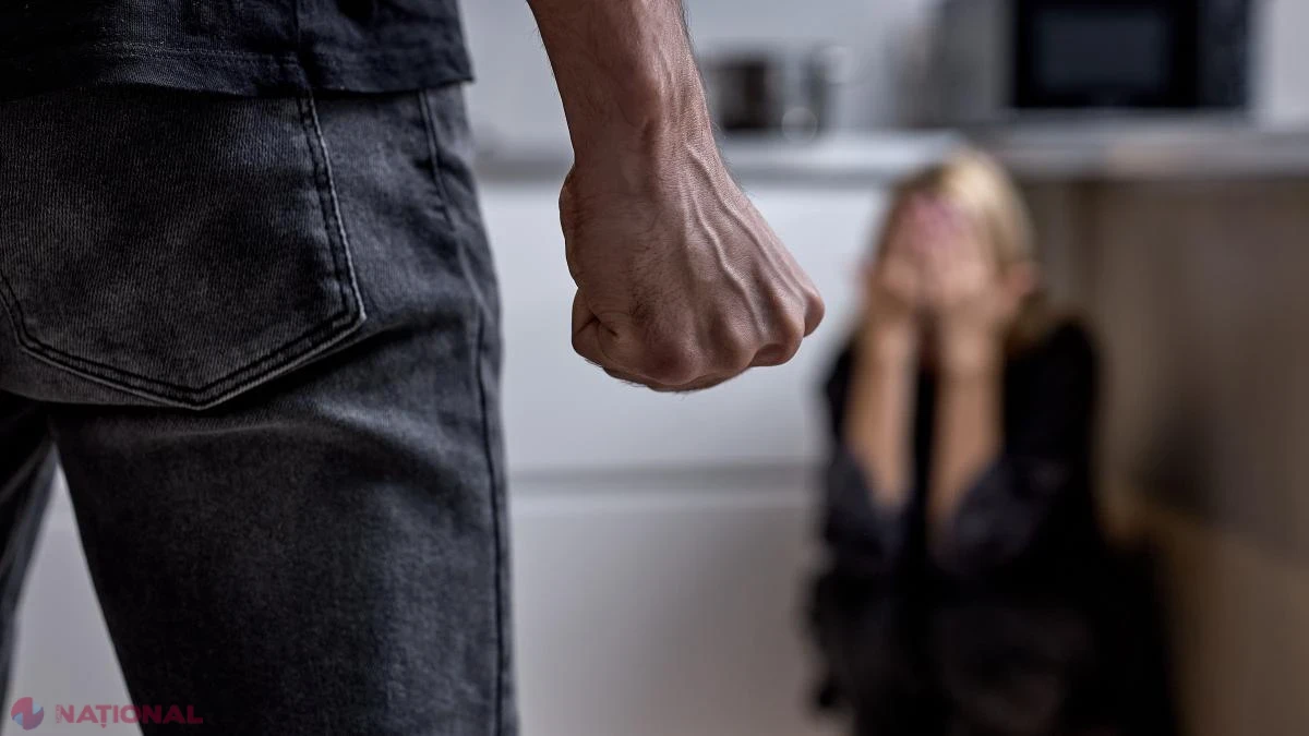 Irlanda, model pentru Europa în lupta cu violența domestică: registru public al agresorilor și dreptul femeilor de a verifica trecutul partenerului