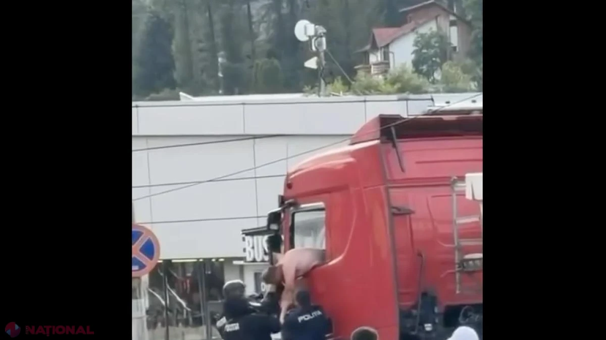 Șoferul de TIR care a blocat DN1 la Bușteni, arestat preventiv pentru ultraj după atacul la adresa polițiștilor