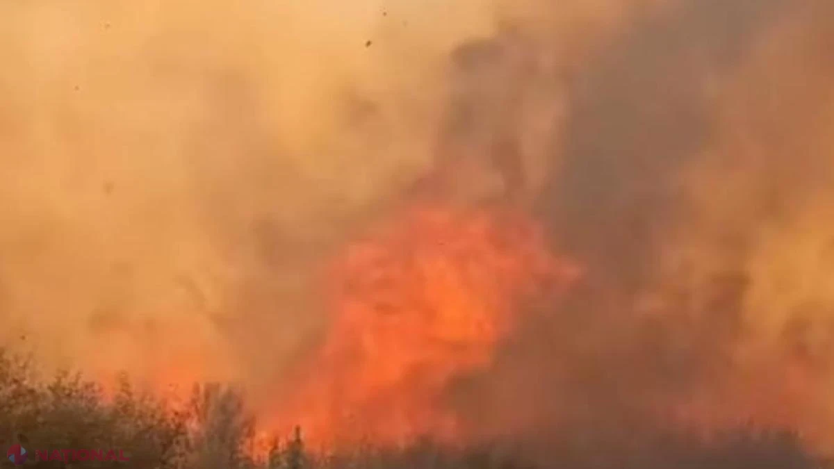 Incendii de vegetaţie în Spania: MAE avertizează românii şi anunţă cod roşu în Comunitatea Valenciană