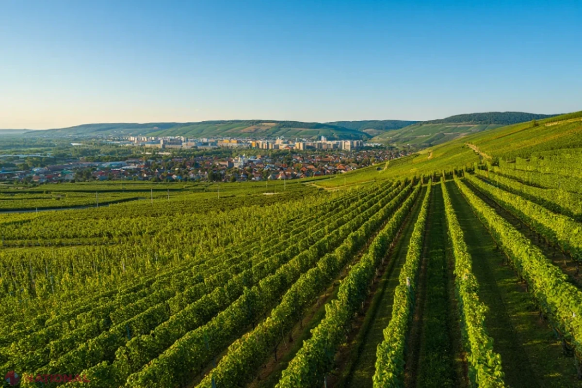 Vreme caldă și în mare parte senină în Moldova, 27 iulie – 2 august 2026