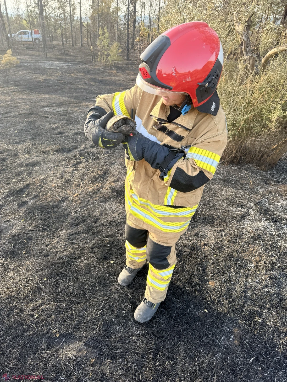 Pompierii moldoveni au stins un puternic incendiu de pădure lângă Salonic, în misiunea UE din Grecia