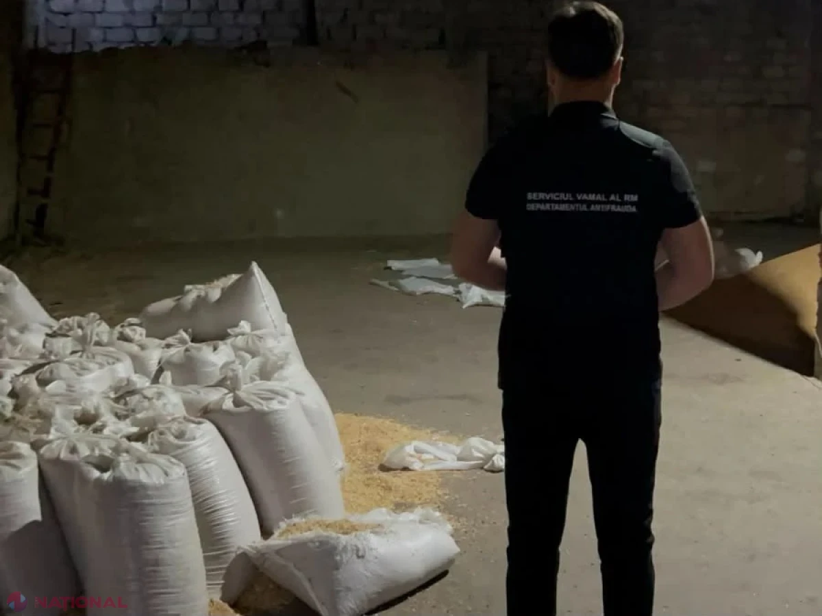 Contrabandă cu 7,2 milioane de țigarete ascunse în 15 tone de căpșuni: 14 percheziții în nordul țării