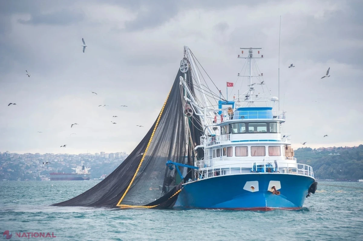 Parlamentul aliniază Moldova la standardele maritime internaționale: protecție sporită pentru navigatori și siguranța navelor de pescuit