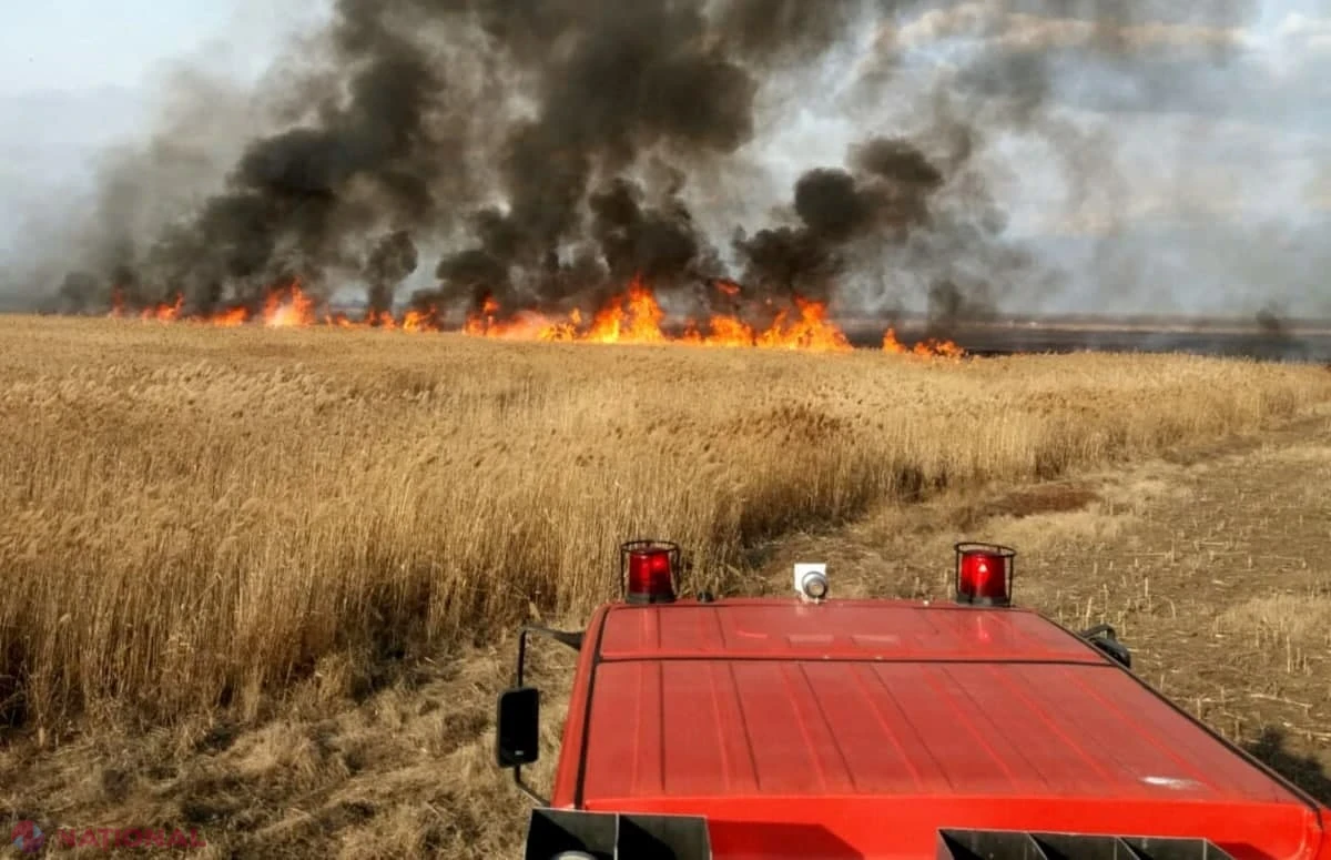 Pompierii IGSU au oprit flăcările la Mândrești: 25 de hectare de grâu salvate dintr-un lan de 40 de hectare în raionul Telenești