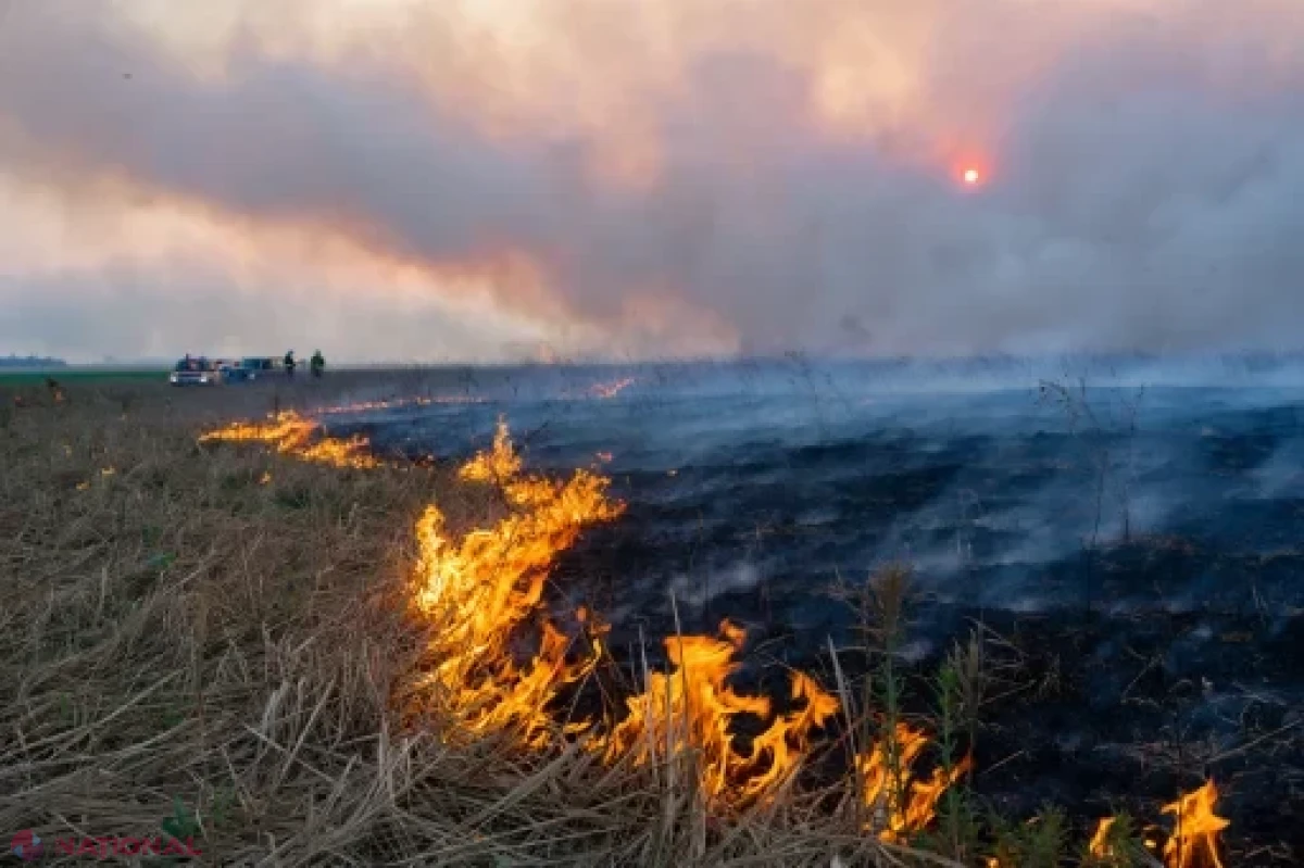 Cod galben de pericol de incendiu, 22–31.07.2026
