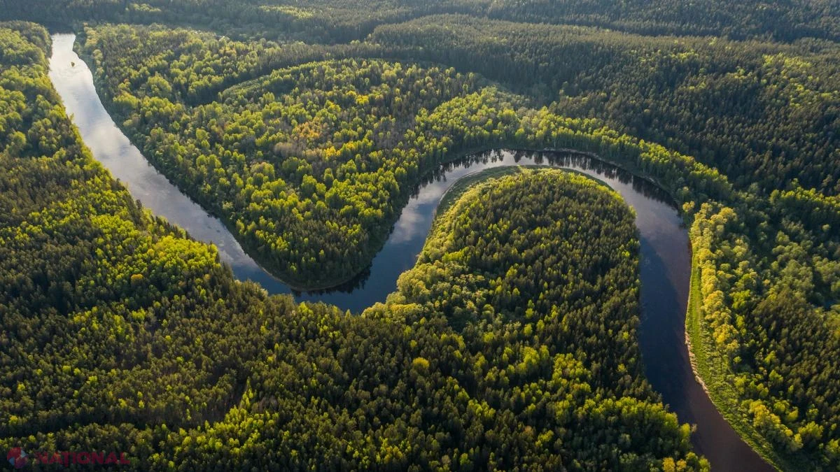 LiDAR dezvăluie o rețea uriașă de geoglife și orașe antice ascunse sub pădurea amazoniană