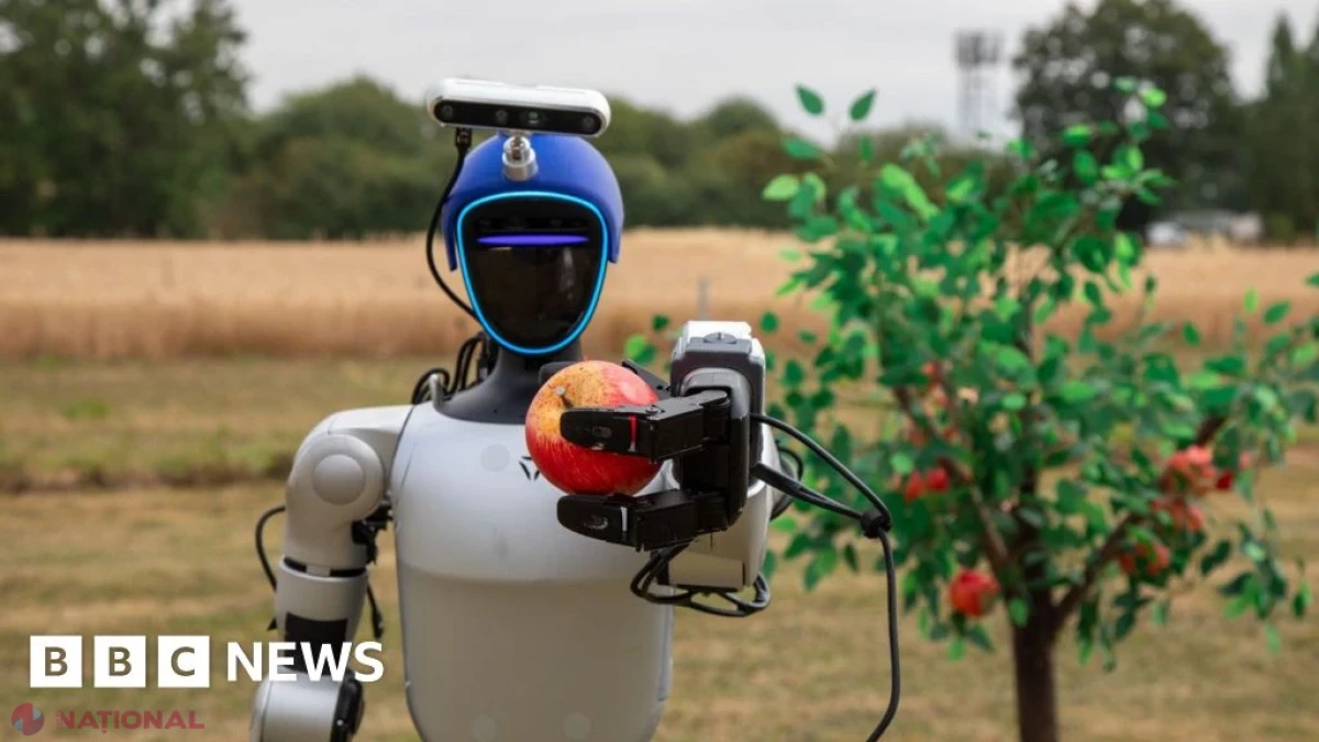 Roboții umanoizi, noua etapă în automatizarea agriculturii și parteneri de muncă pentru fermieri
