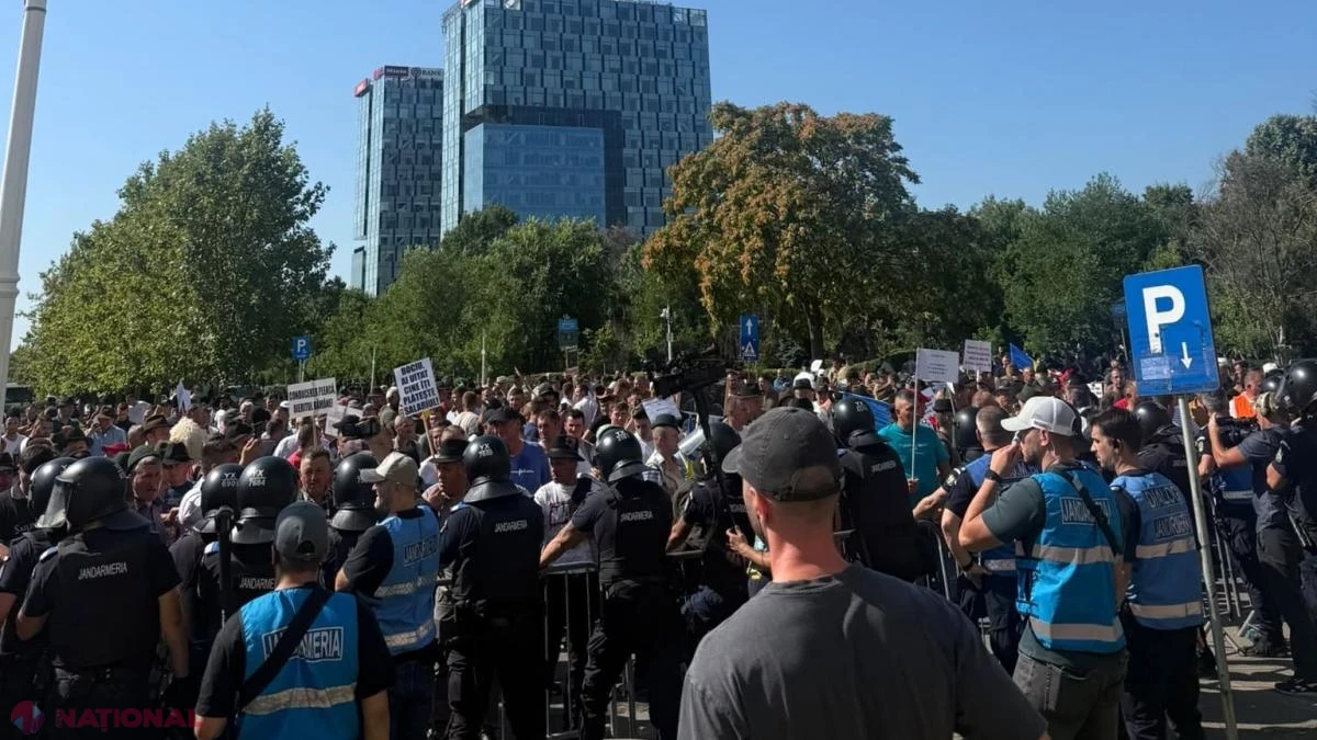 Protest tensionat la ANSVSA: oierii forțează gardurile, jandarmii intervin cu gaze lacrimogene