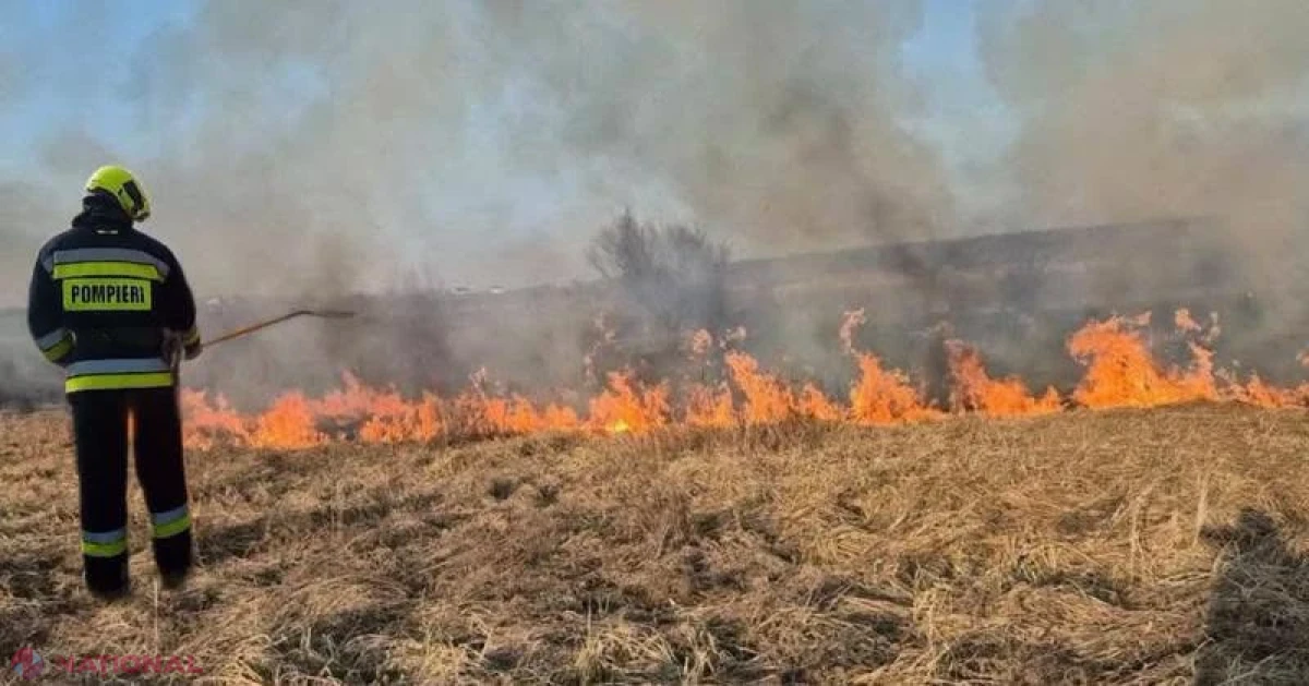 Val de incendii de vegetație în toată țara: 41 de focare lichidate de pompieri în doar 24 de ore