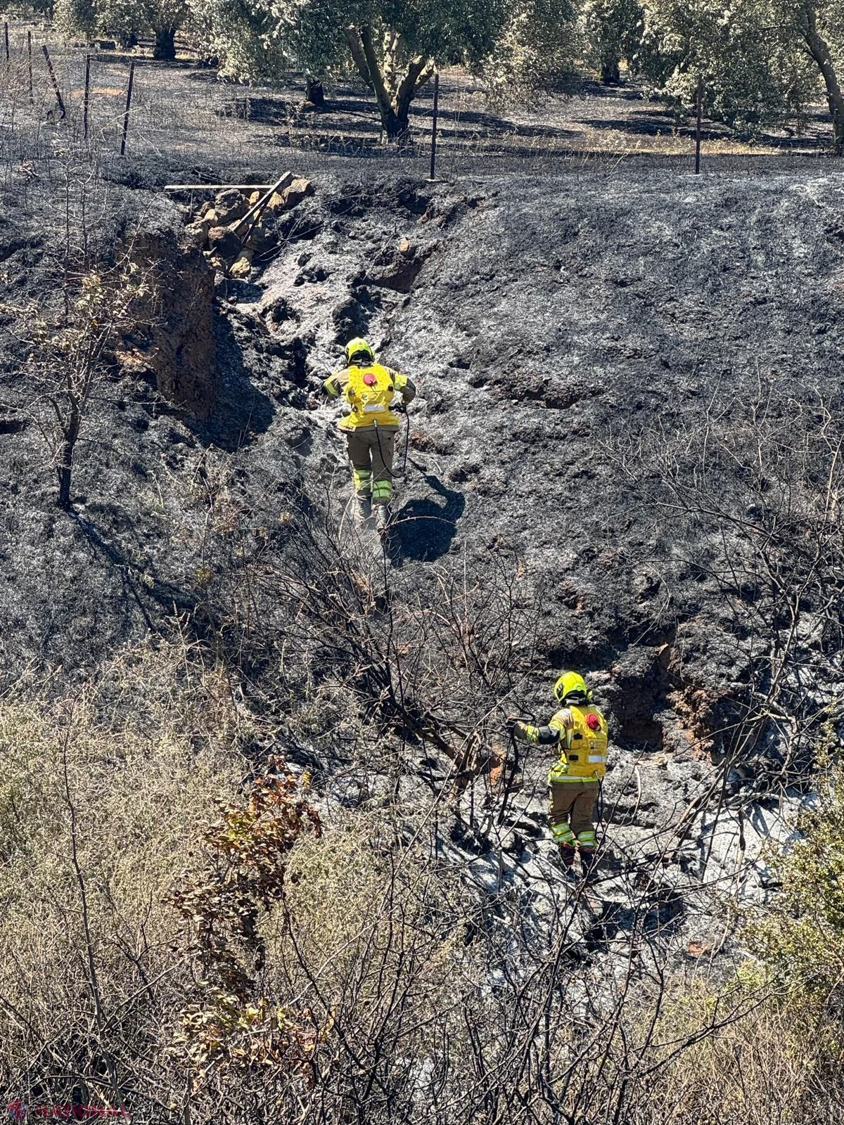 Pompierii moldoveni din al doilea contingent GFFF-V, prima intervenție reușită în Grecia împotriva incendiilor de vegetație
