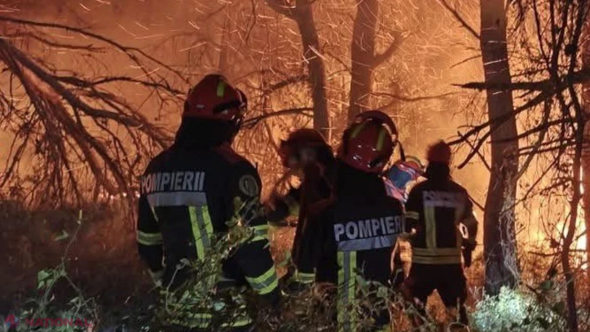Franța în flăcări: peste 120.000 de hectare arse și peste 400 de suspecți reținuți, inclusiv minori, pentru provocarea incendiilor